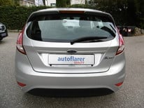 FORD FIESTA SILBER 8000