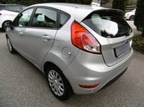 FORD FIESTA SILBER 8000