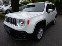JEEP RENEGADE WISS EX099