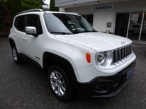 JEEP RENEGADE WISS EX099