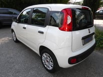 FIAT PANDA WEISS FE393NE
