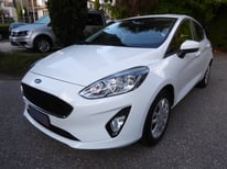 FORD FIESTA WEISS 1062