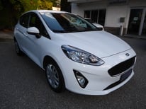 FORD FIESTA WEISS 1062
