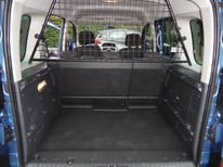 RENAULT KANGOO BLAU 0859