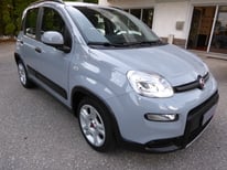FIAT PANDA GRAU GM413FC
