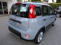 FIAT PANDA GRAU GM413FC
