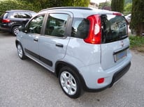 FIAT PANDA GRAU GM413FC
